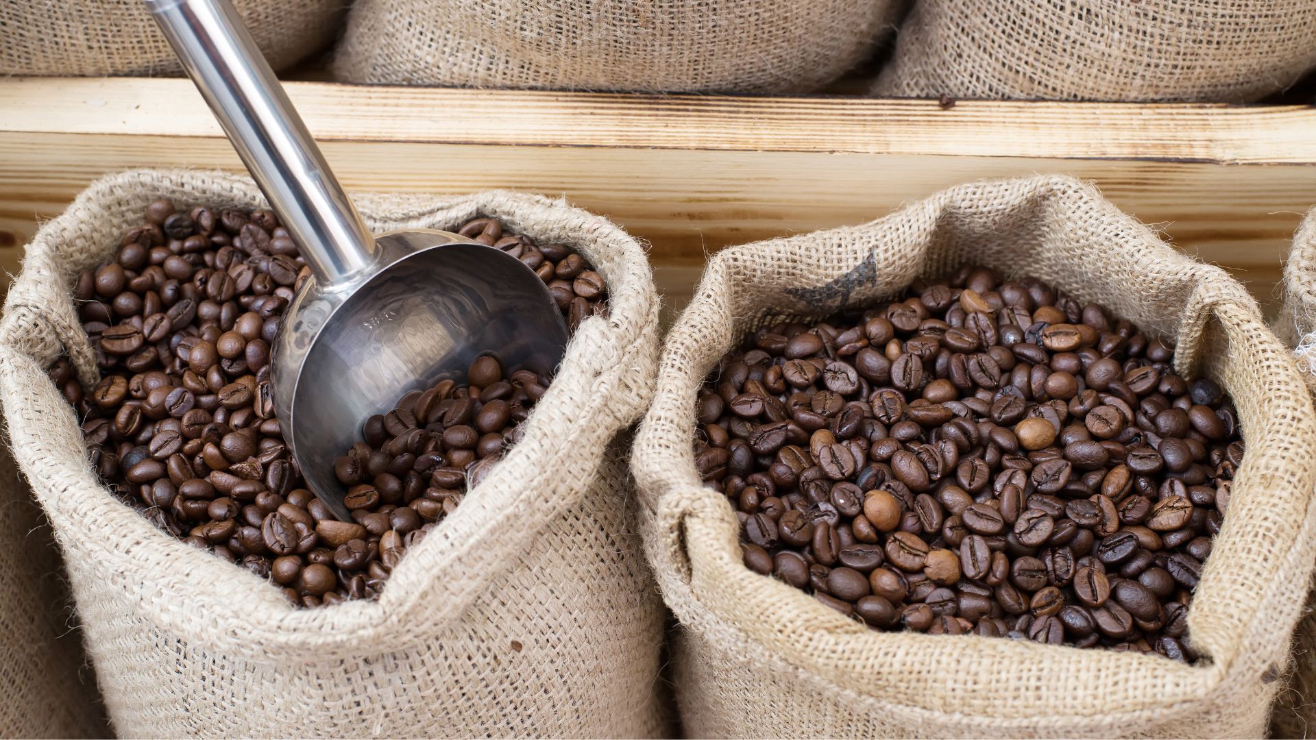 Wholesale coffee hero